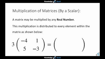 Mastering Matrices Course - Operations Involving Matrices (Scalar Multiplication)