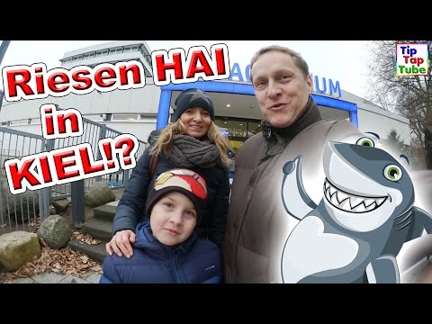 RIESEN HAI IN KIEL!? | Im Geomar Aquarium | Vlog TipTapTube