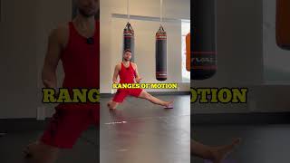 Mobility vs. Flexibility Training