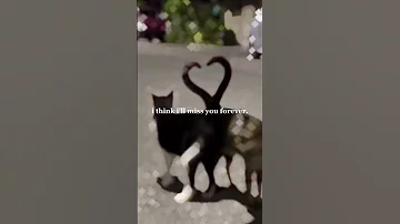 I Just Wanted You To Know That Baby You Re The Best Fypシ Edit 