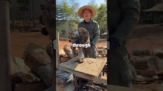 Have you ever witnessed a drill sergeant break character and laugh? Net Worth