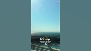 سورة الكوثر 📿