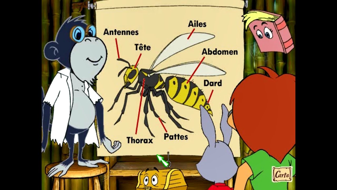 Lapin Malin CE1 (Reader Rabbit) - Guêpe, Abeille, Sauterelle #2