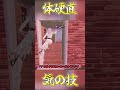 気の技を使うと体が硬直してしまう?!【Fortnite/フォートナイト】#fortnite #フォートナイト #フォトナ #ゆっくり実況