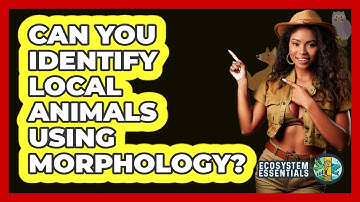 Can You Identify Local Animals Using Morphology? - Ecosystem Essentials