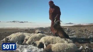 SOTT Видео-сводка земных изменений - март 2016 года: экстремальная погода, метеориты(Рекордные весенние снегопады, разрушительные вспышки торнадо, падающие с неба самолёты, катастрофические..., 2016-04-13T06:33:18.000Z)