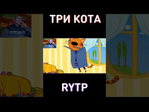 КУДА ОН ПОЛЕТЕЛ? RYTP Три Кота