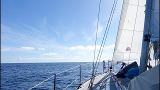 Traveling alone! sailing and hiking in La Palma