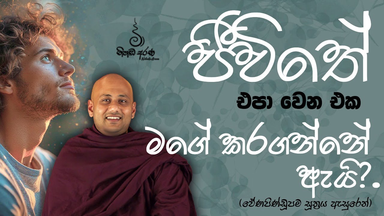 ජීවිතේ එපා වෙන එක මගේ කරගන්නේ ඇයි? - Ven Aluthgamgoda Gnanaweera Thero | නිහඬ අරණ