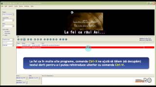 Subtitle Workshop - Crearea subtitrării - tutorial 3/3