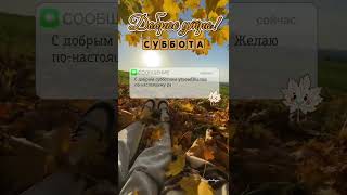 Доброе утро.Хорошего дня #открытка #доброеутро #сдобрымутречком #хорошегодня #позитив #длянастроения