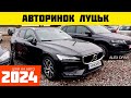 Авторинок Луцьк 2024 ціни на авто