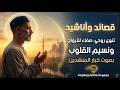 مباشر الآن مديح نبوي وروائع الإمام الشافعي سكينة للقلب