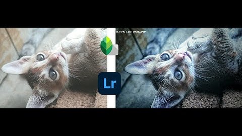 How to edit like pro using Snapseed and Adobe lightroom cb