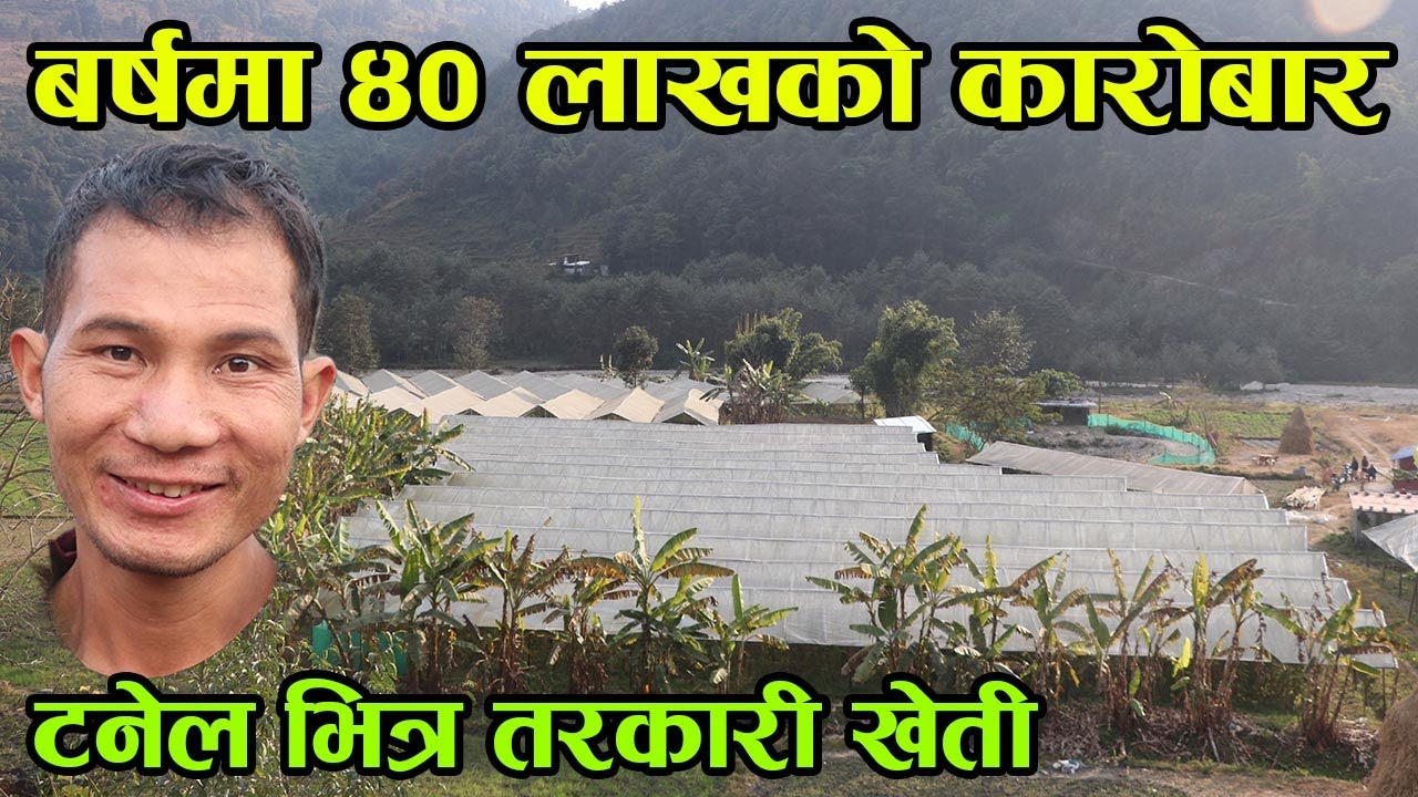 टनेल भित्र तरकारी रोपेर बर्षमै ४० लाखको कारोबार गर्ने किसान ! टनेलमा तरकारी खेती │Nepal Chitra