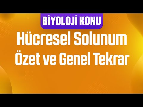 Hücresel Solunum ÖZET VE GENEL TEKRAR