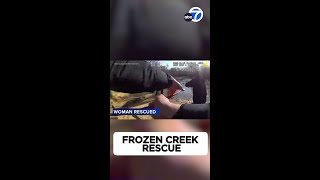 New Jersey firefighters rescue woman and 2 dogs from frozen creek