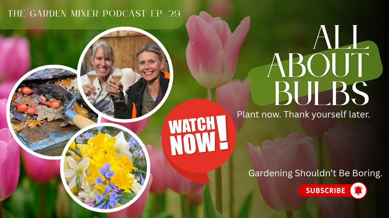 All About Bulb Planting
