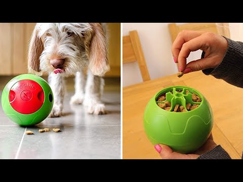 Vídeo: 7 gadgets úteis para animais de estimação