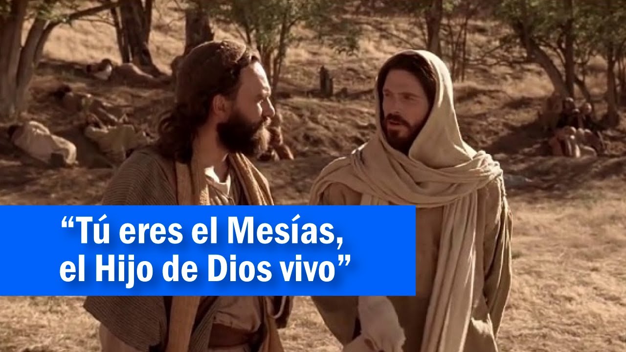 T Eres El Mes as El Hijo De Dios Vivo Evangelio Domingo 27 De t-eres-el-mes-as-el-hijo-de-dios-vivo-evangelio-domingo-27-de