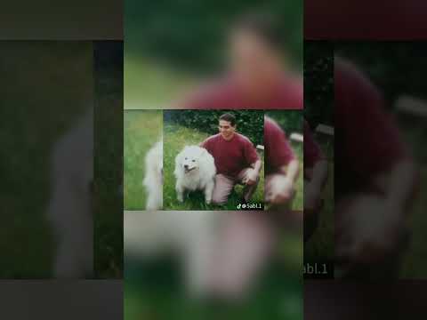 قصه عم احمد نور الدين واي سبب الاكتئاب حزين اكسبلور  شجعوني