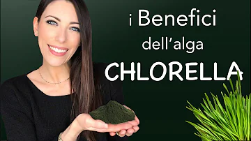 What does Chlorella do for your body?