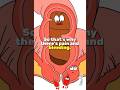 🚨 Silent Danger❌ of Piles (Hemorrhoids) | Bleeding, Pain & Complications#shorts #animation #funny