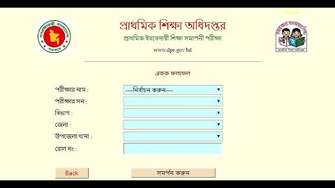 PSC Result 2019 (সহজে পিএসসি রেজাল্ট ২০১৯ দেখার উপায় জানুন) - PSC Result with Number