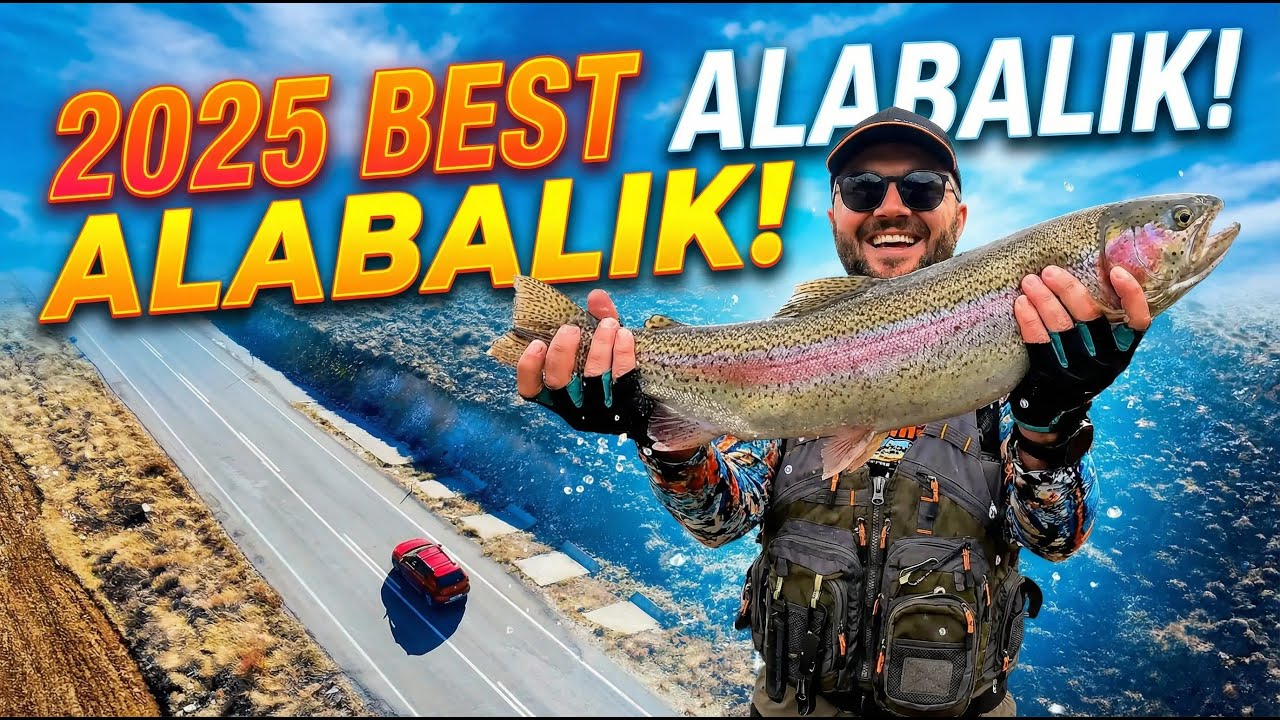 2025 BEST ALABALIK AVI!