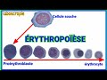 Lerythropose