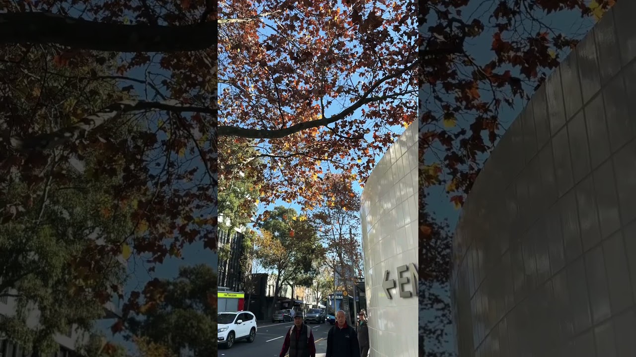 Autumn💛my biggest love 