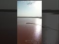 قاع المدرج القصيم الربيع بريدة