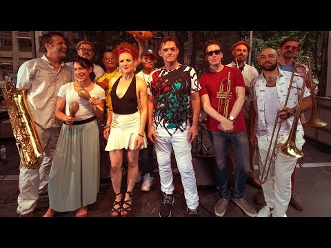 Predicho - Williamsburg