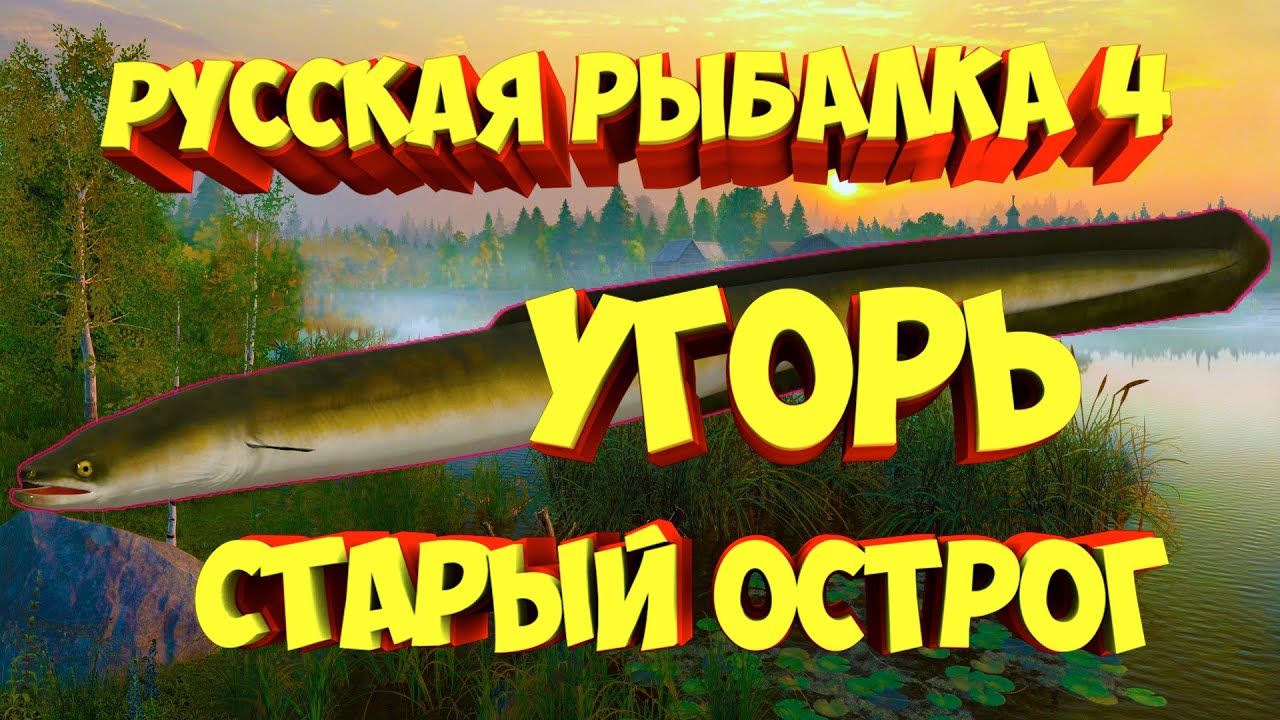 Рр3 волга угорь
