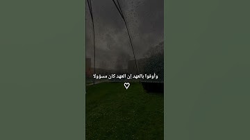 سورة الاسراء الاية 34