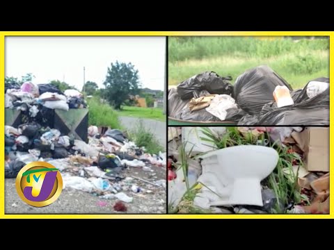 Waste Management & Waste Reduction | TVJ All Angles