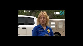 Cockfighting Ring Bust