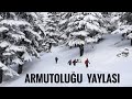 ARMUTOLUĞU YAYLASI