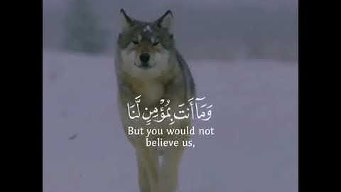 تلاوة رائعة تريح القلب🌹#سورة_يوسف 🎙القارئ#اسلام_صبحي  #حالات واتساب مقاطع دينية قصيرة🌙