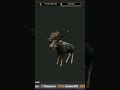 All Great One Moose Furs!! : : TheHunter: Call of the Wild