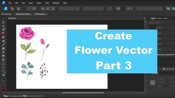 Creating Stunning Rose Flower Vector Art with Affinity Designer | PART 3