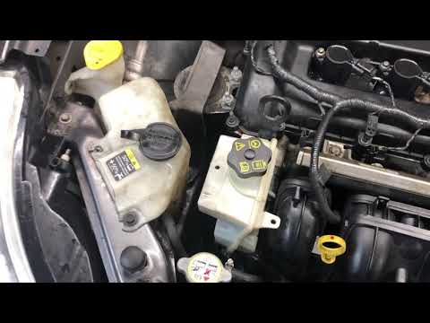 Ford Focus Power Steering Noise - Foam in Power Steering Fluid - Common Issues