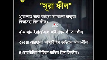 সূরা ফীল ) سورة الفيل ( বাংলা আরবি উচ্চারণ।মাশাল্লাহ ...