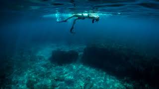 Speakzodiac - Spongy B. (Ladle Not Paddle)