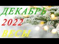 ВЕСЫ. ТАРО-ПРОГНОЗ на ДЕКАБРЬ 2022г.