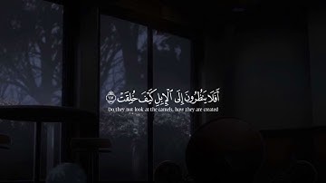 ‏سورة الغاشيه بصوت عبد الرحمن مسعد🤍 تلاوة خاشعة #اكسبلور #قران_كريم #عبدالرحمن_مسعد #اسلام_صبحي