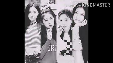 MOMOland  black pink how you like tha song