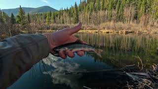 Duffel-Bagging Trip in Colorado Wilderness