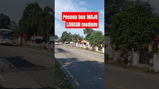 pesona bus maju lancar #bus #shortsvideo