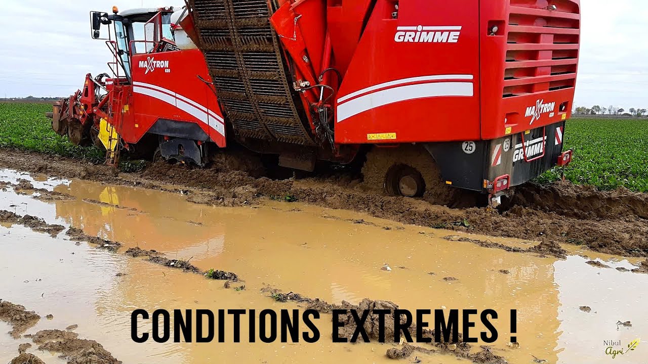 🇫🇷 CONDITIONS EXTRÊMES d'arrachage de betteraves